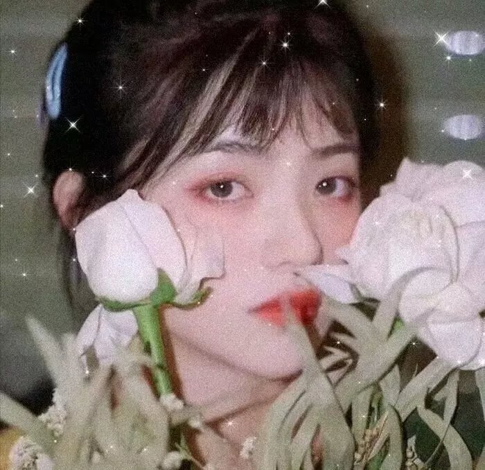 吉普车中的四人